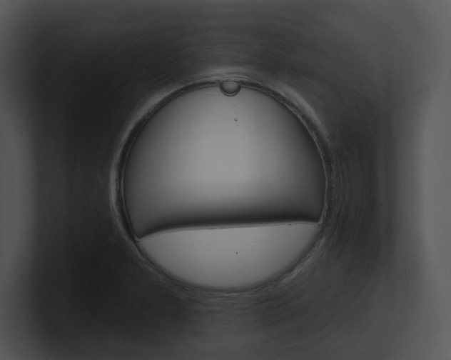 X0000100961277200806241136