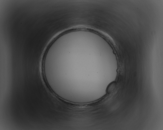 X0000100961279200806241136