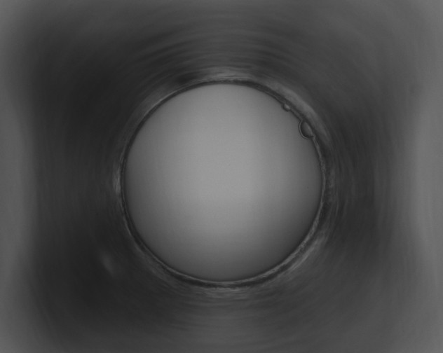 X0000100961281200806241136