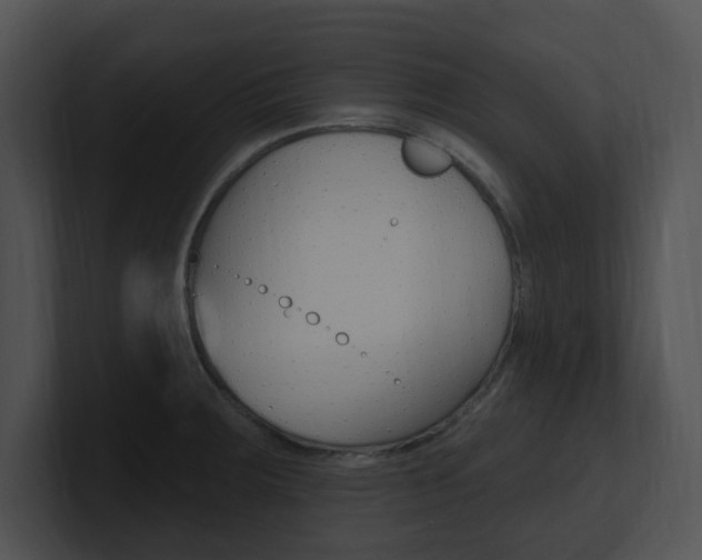 X0000100961283200806241136