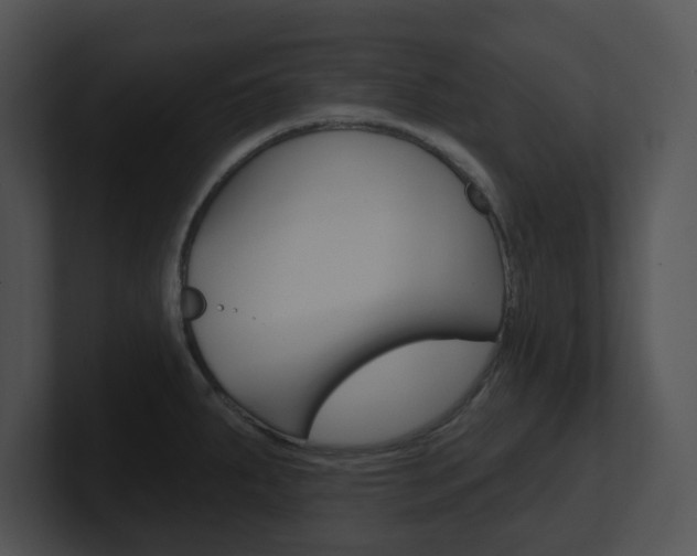 X0000100961287200806241136
