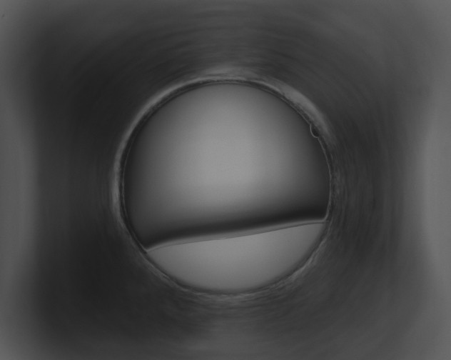 X0000100961288200806241136