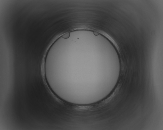 X0000100961290200806241135