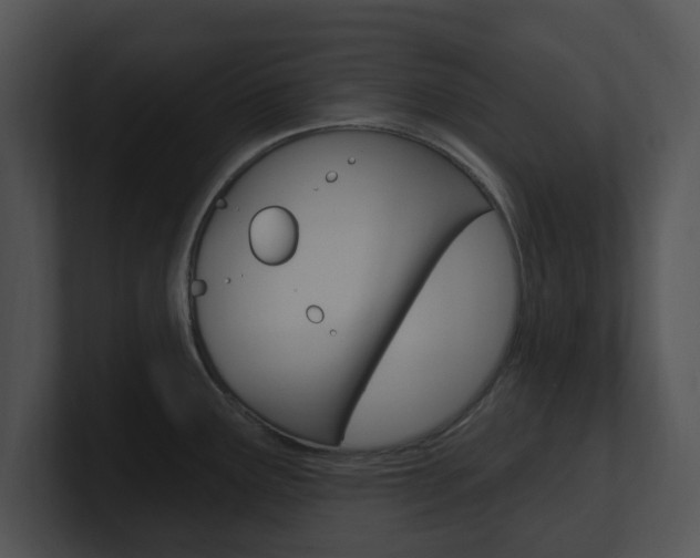 X0000100961291200806241135