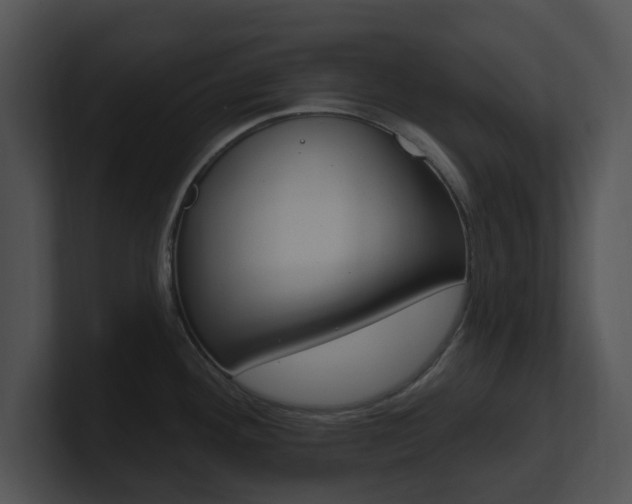 X0000100961292200806241135