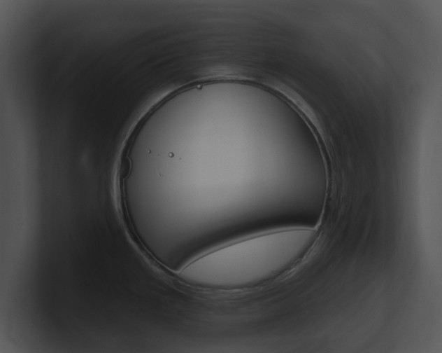 X0000100961293200806241135