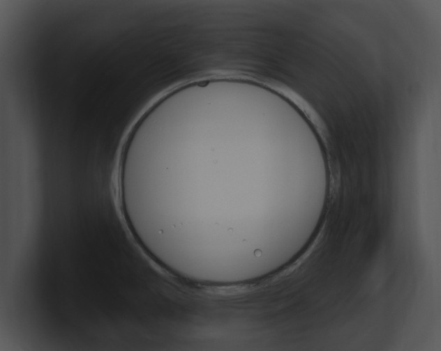X0000100961294200806241135