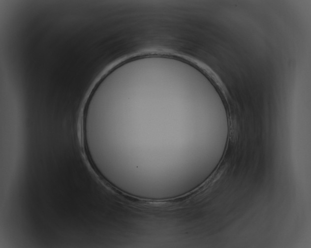 X0000100961295200806241135