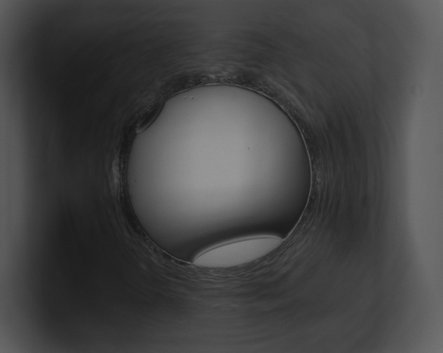 X0000100961298200806241135