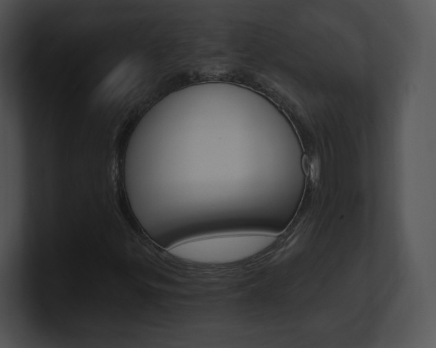 X0000100961299200806241135