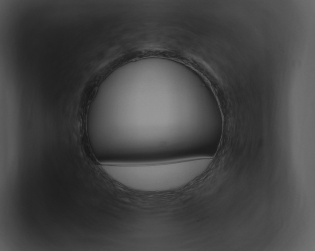 X0000100961303200806241135
