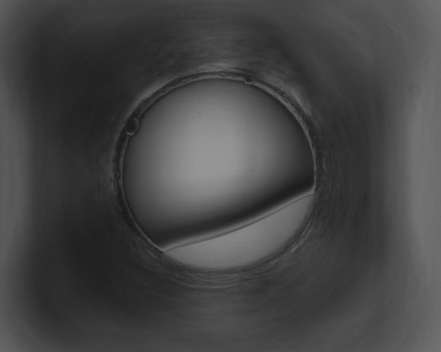 X0000100961308200806241135