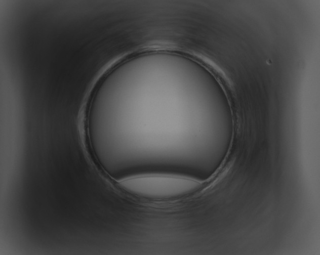 X0000100961325200806241135