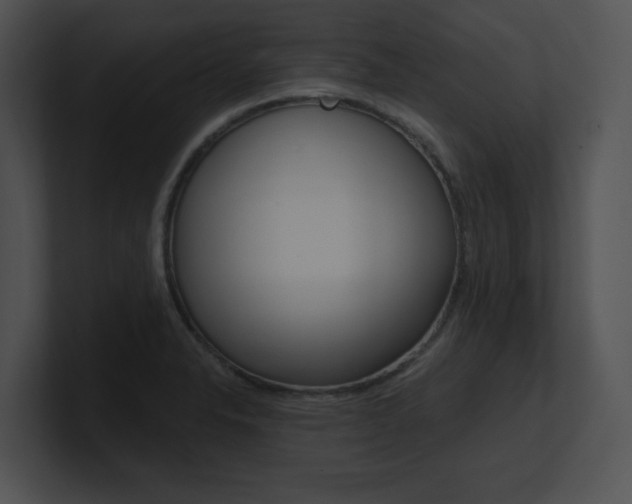 X0000100961326200806241135