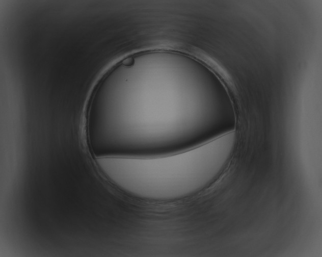 X0000100961332200806241135