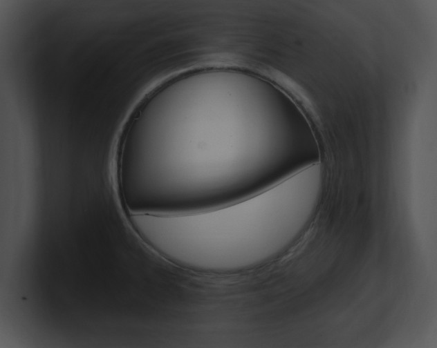 X0000100961334200806241135