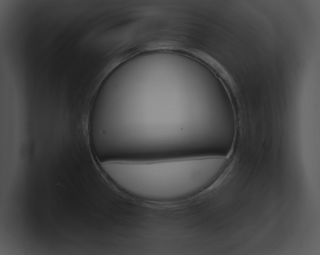 X0000100961337200806241135