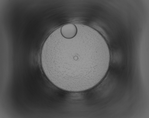 X0000100961338200806241135