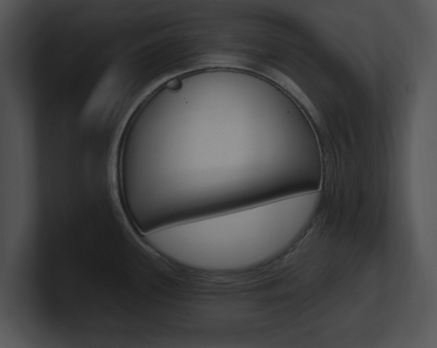 X0000100961339200806241135