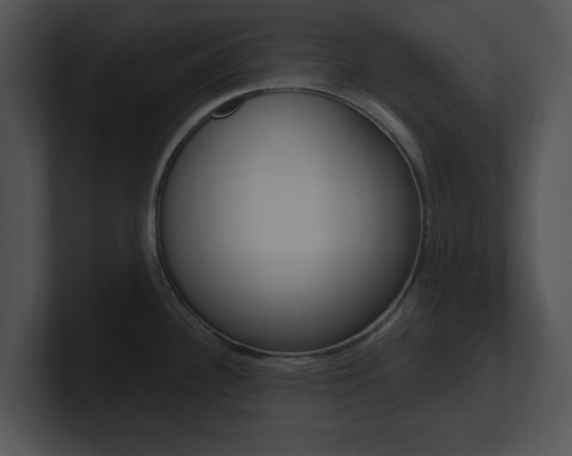 X0000100961340200806241135