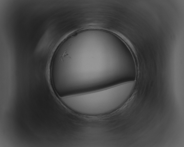 X0000100961341200806241135