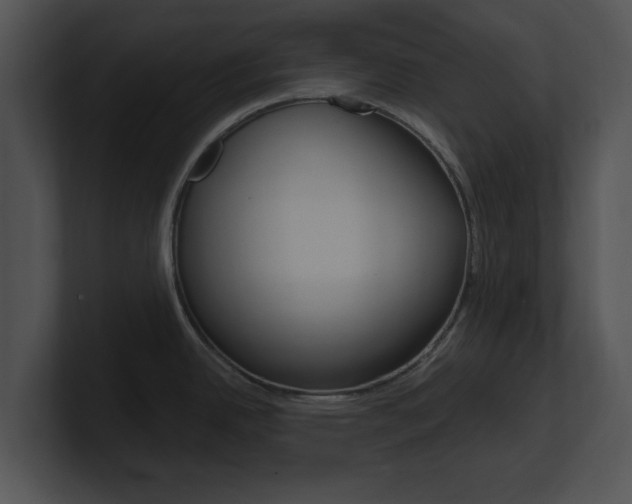X0000100961342200806241135