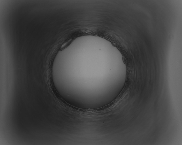 X0000100961345200806241135
