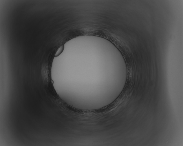 X0000100961346200806241135