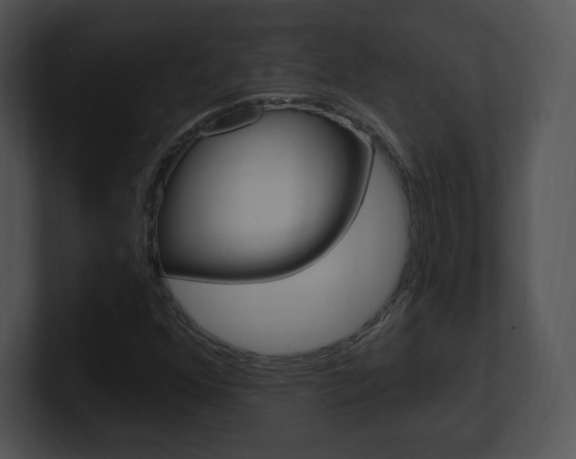 X0000100961352200806241135