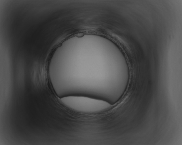X0000100961354200806241135