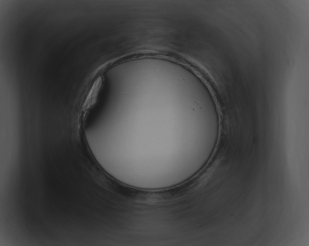 X0000100961355200806241135