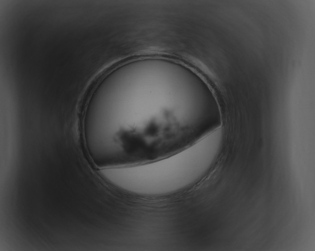 X0000100961356200806241135