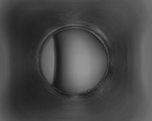 X0000100961360200806241135