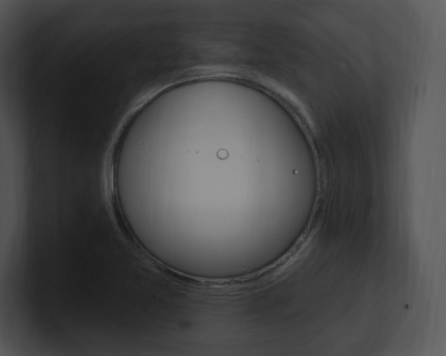 X0000100961365200806241134