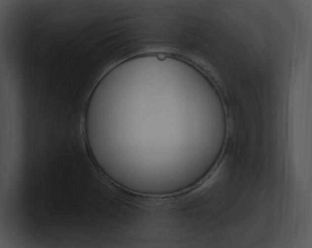 X0000100961369200806241134