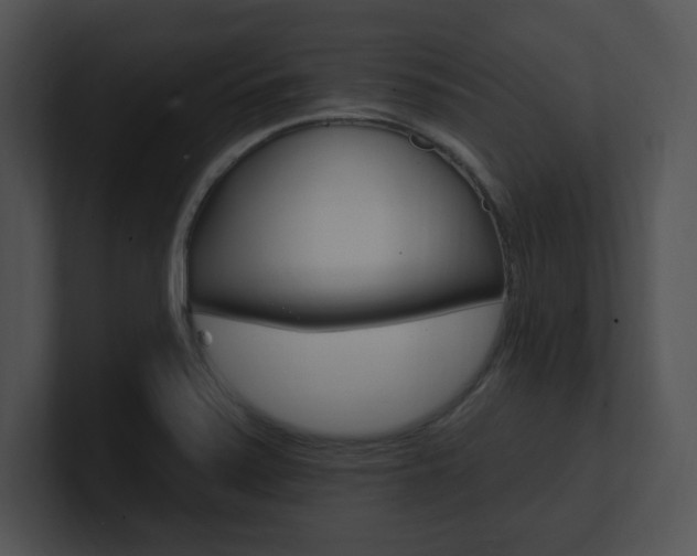 X0000100961371200806241134