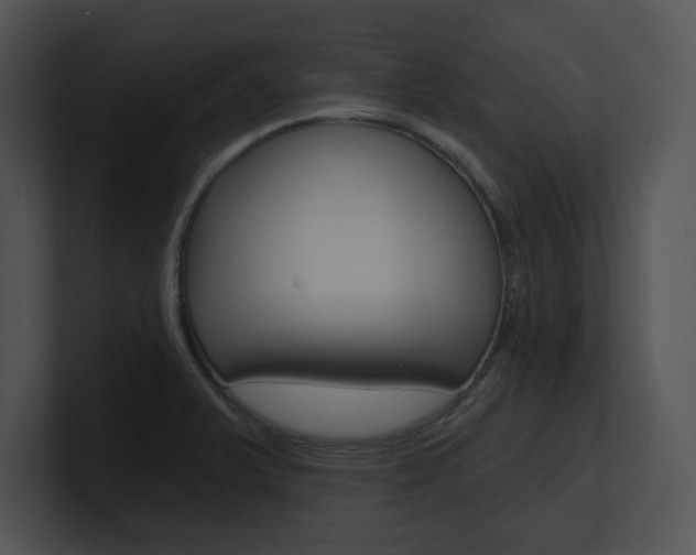 X0000100961375200806241134