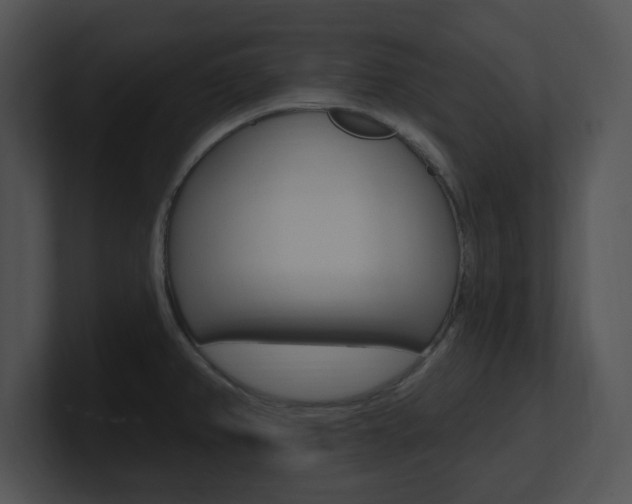 X0000100961382200806241134