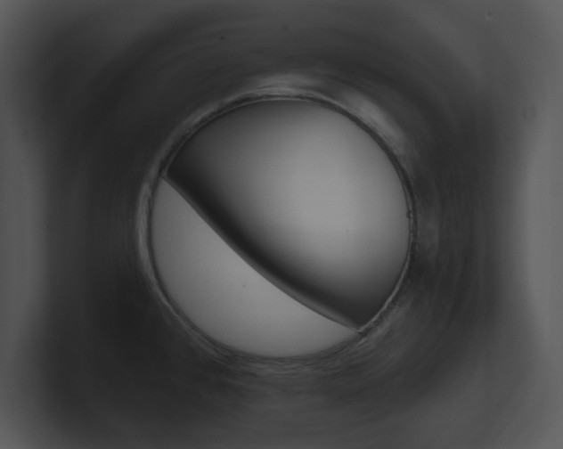 X0000100961384200806241134