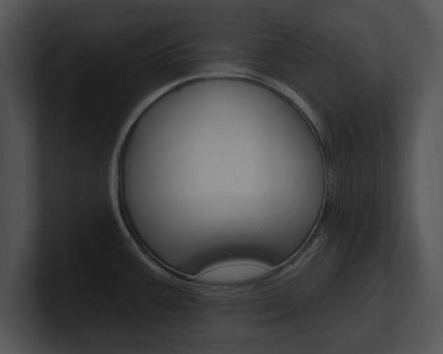 X0000100961387200806241134
