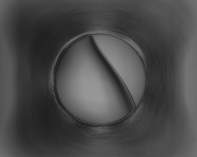 X0000100961388200806241134