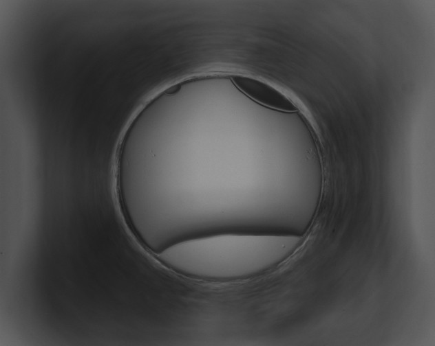X0000100961390200806241134