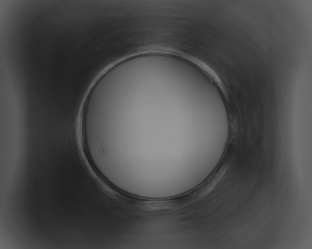 X0000100961391200806241134