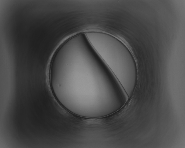 X0000100961392200806241134
