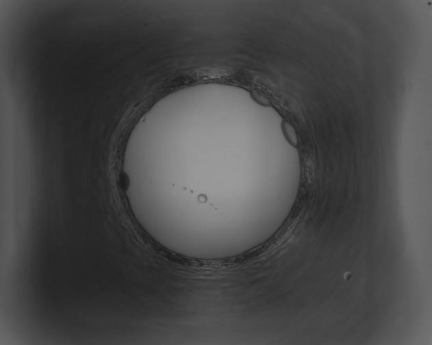 X0000100961393200806241134