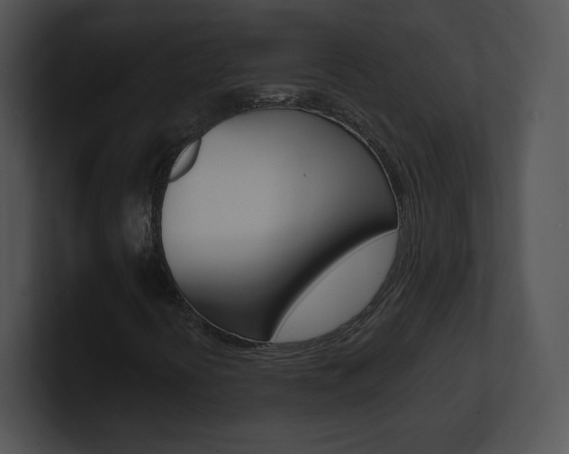 X0000100961394200806241134
