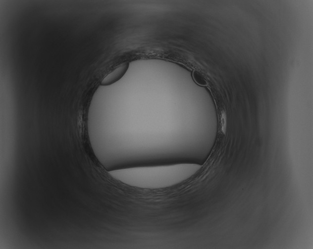 X0000100961395200806241134