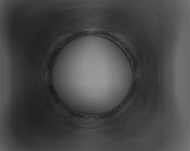 X0000100961398200806241134