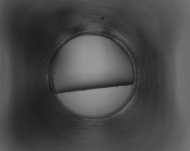 X0000100961401200806241134