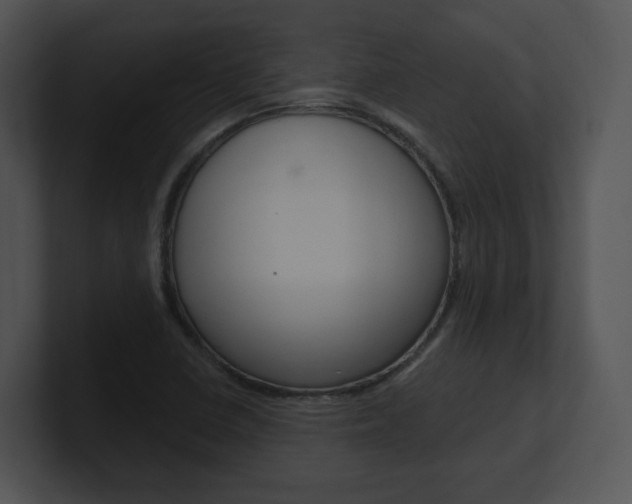 X0000100961410200806241134